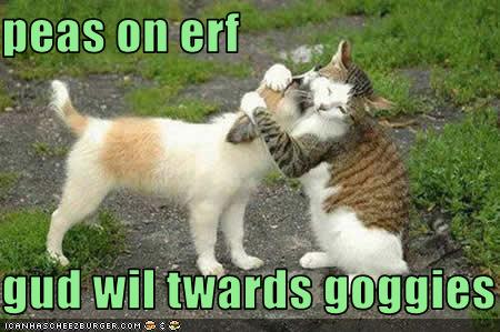 funny-pictures-cat-and-dog-hug-eachother